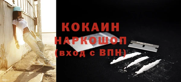 apvp Пестово