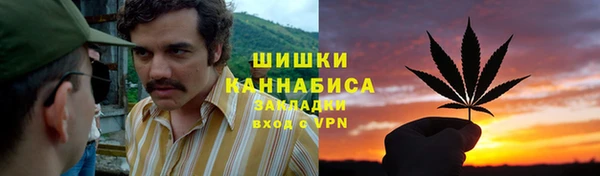 apvp Пестово