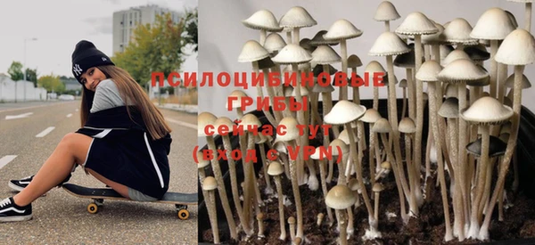 apvp Пестово